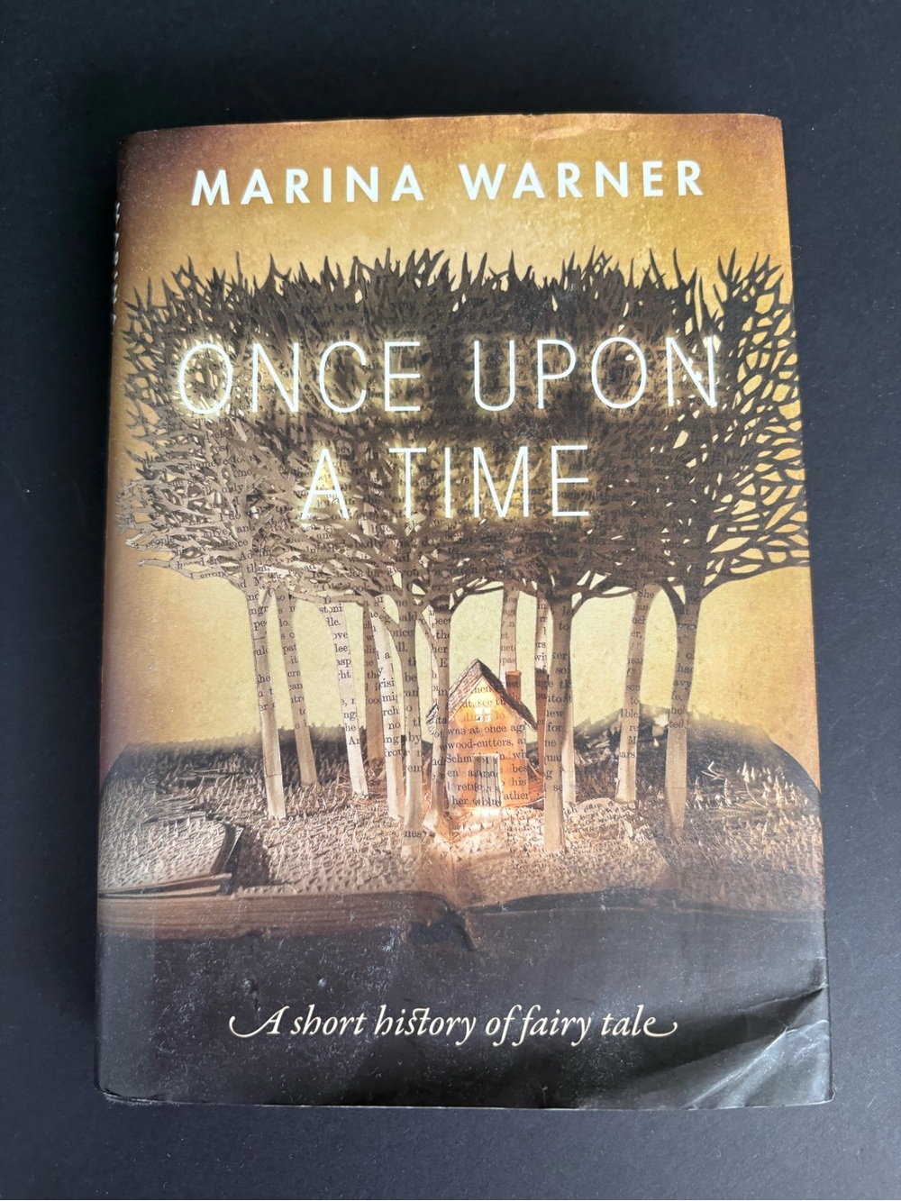 Once Upon a Time Hardcover Book by Marina Warner